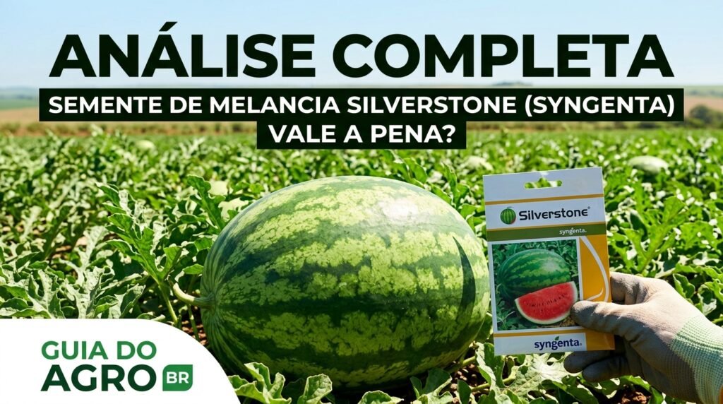 melancia